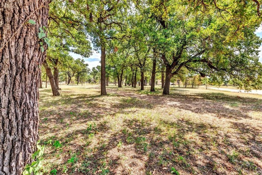 פרדריקסברג Pecan Farm Haus מראה חיצוני תמונה