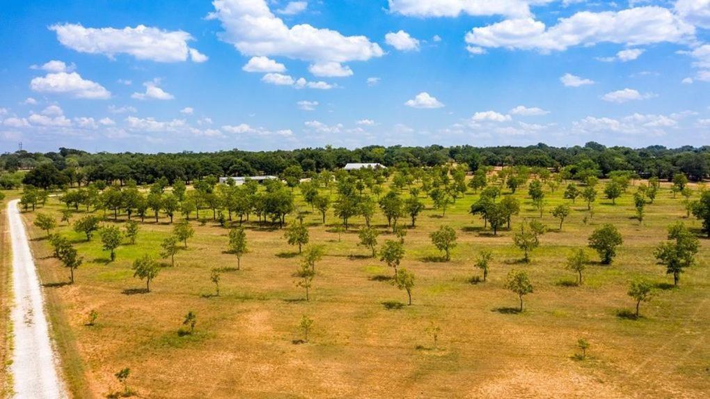 פרדריקסברג Pecan Farm Haus מראה חיצוני תמונה